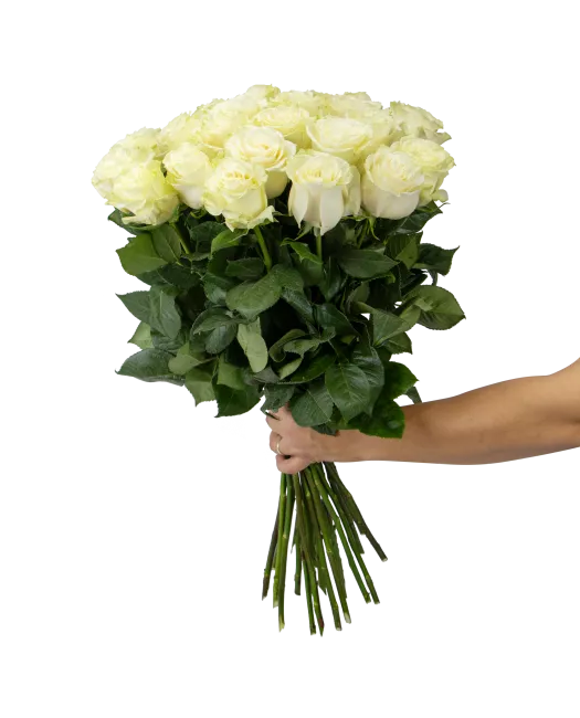 bouquet of Ecuadorian roses 80cm